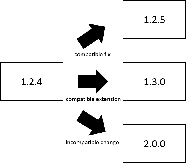 Figure 1: Version Number Changes